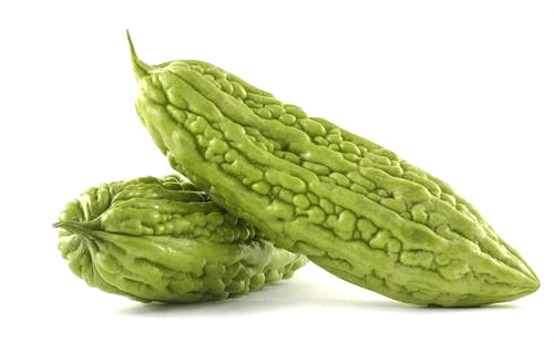 Tout comme les amandes amères d’abricot bio, l’armoise annuelle ou les feuilles de Graviola corossol le concombre amer est un anti cancer naturel puissant.